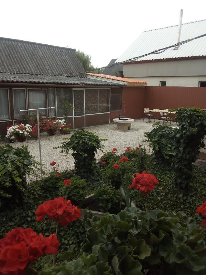 Vadkacsa Apartmanhaz Medencevel Zamardi Bagian luar foto